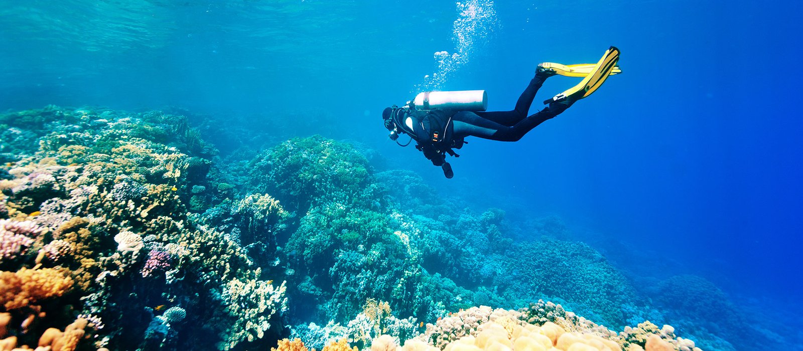Scuba Diving & Snorkeling
